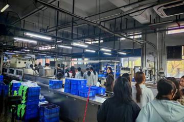 走进“小巨人”企业，感知智能制造脉搏 —碧职院学子赴广东泛瑞新材料有限公司开展研学活动